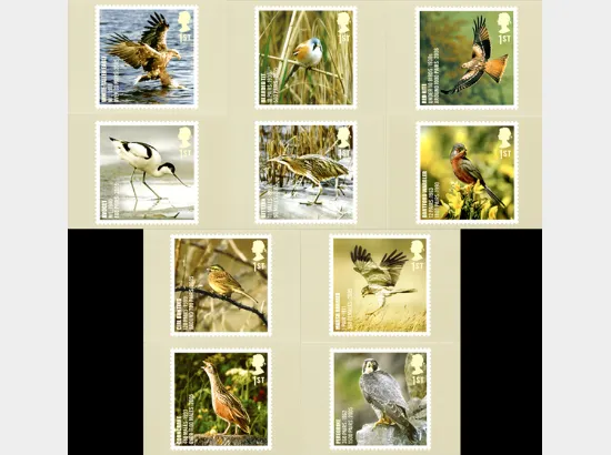 Birds (Endangered Species)