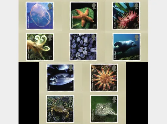 Sea Life