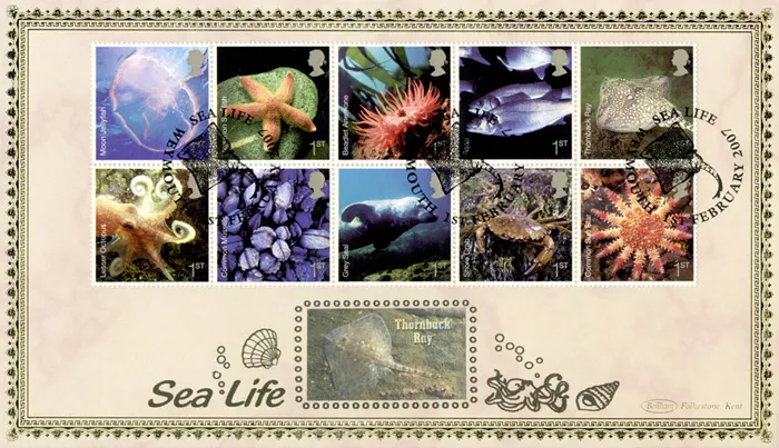 2007_SeaLife_BLCS349b 2007_SeaLife_BLCS349b