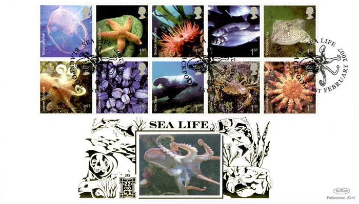 2007_SeaLife_Gold349