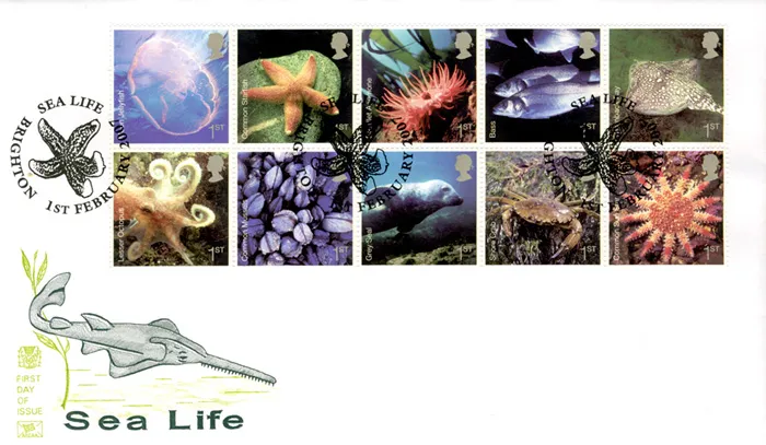 2007_SeaLife_Stu_hs 2007_SeaLife_Stu_hs