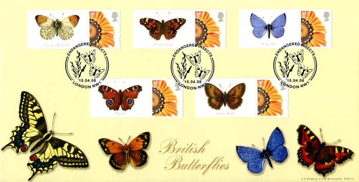 2008_Butterflies1