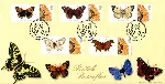2008_Butterflies2