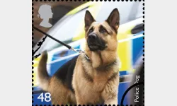 Working Dogs: 48p