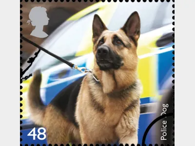 Working Dogs: 48p