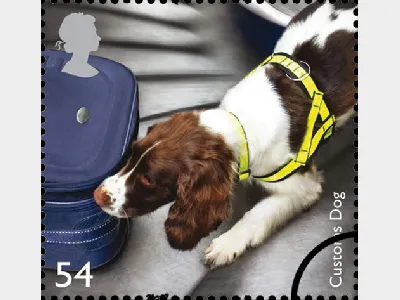 Working Dogs: 54p