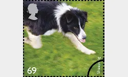 Working Dogs: 69p
