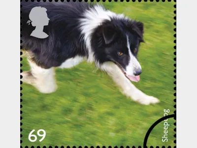 Working Dogs: 69p
