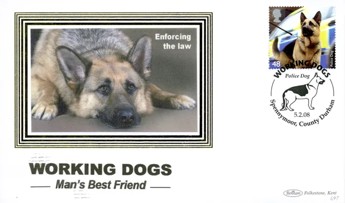 2008_Dogs_BS_697