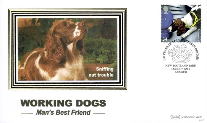 2008_Dogs_BS_698 2008_Dogs_BS_698