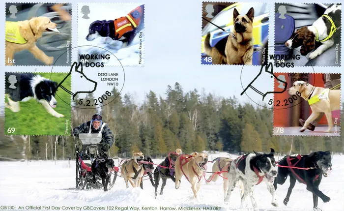 2008_Dogs_Williams130