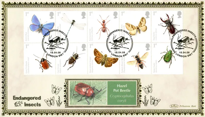 2008_Insects_BLCS395B