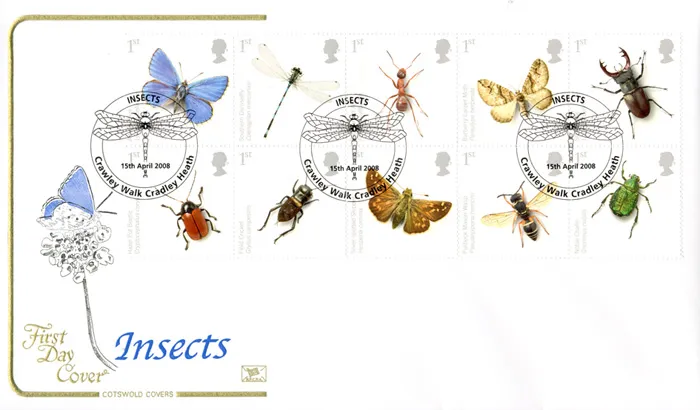 2008_Insects_Cotswold 2008_Insects_Cotswold