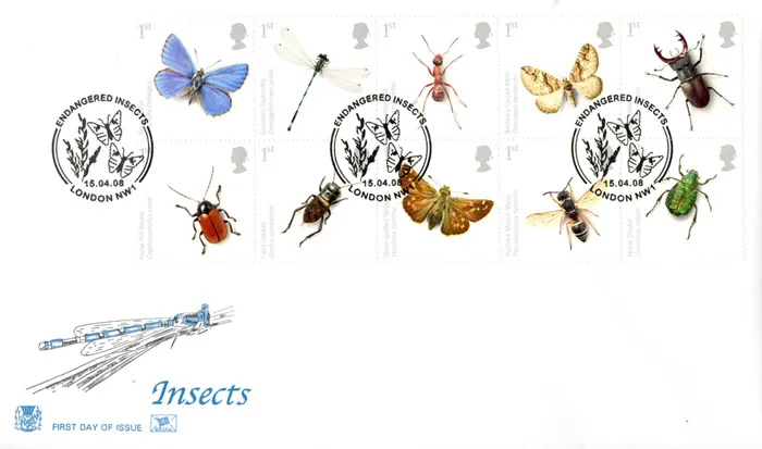 2008_Insects_Stuart 2008_Insects_Stuart