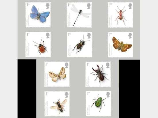 British Insects