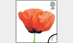 Lest We Forget 2008: 1st