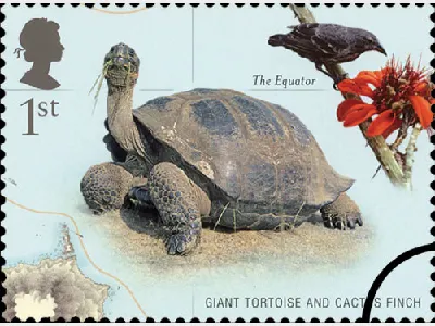 Charles Darwin: 1st (MS)