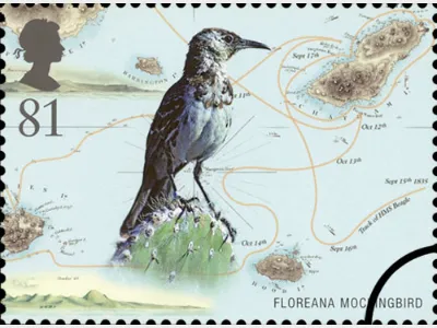 Charles Darwin: 81p (MS)