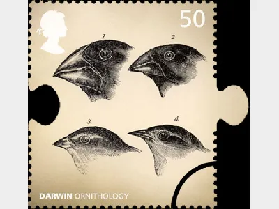 Charles Darwin: 50p