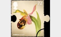 Charles Darwin: 72p