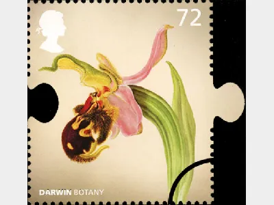 Charles Darwin: 72p