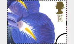 Flowers: 1st Self Adhesive