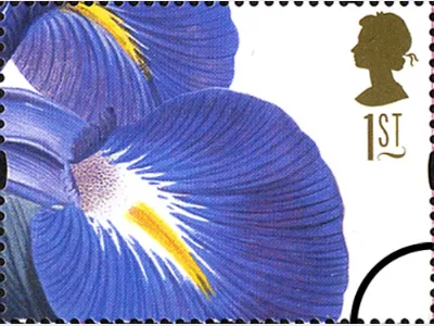 Flowers: 1st Self Adhesive