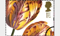 Flowers: 1st Self Adhesive