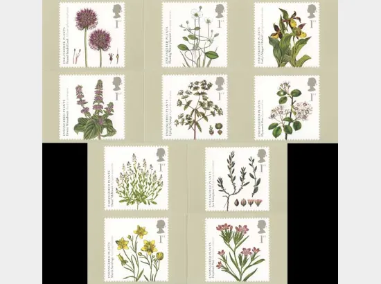 Plants