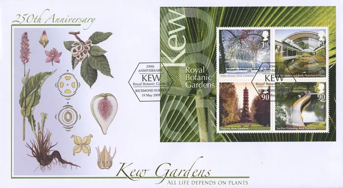 2009_PlantsMS_Buck339