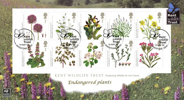 2009_Plants_Buck339 2009_Plants_Buck339