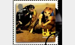 Classic Album Covers: 1st