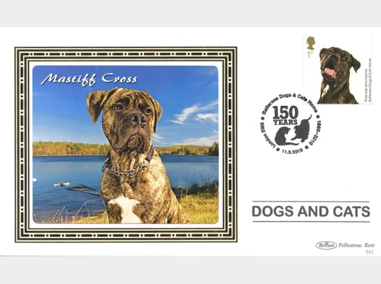 Battersea Dogs & Cats Home