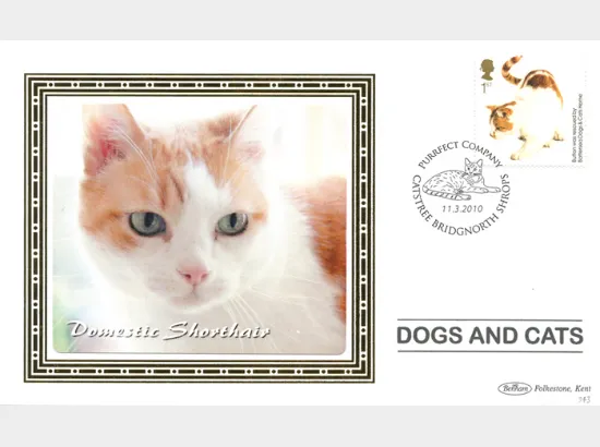 Battersea Dogs & Cats Home