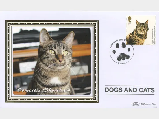 Battersea Dogs & Cats Home