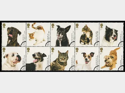 Battersea Dogs & Cats Home