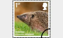 Mammals: 1st Self Adhesive