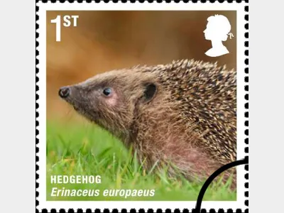 Mammals: 1st Self Adhesive