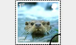 Mammals: 1st Self Adhesive