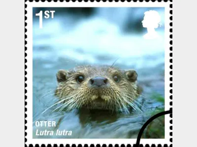 Mammals: 1st Self Adhesive