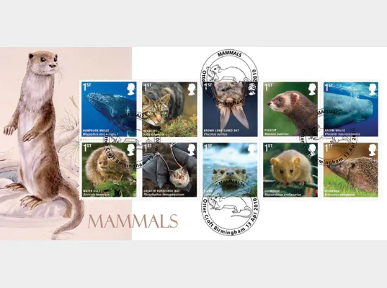 Mammals