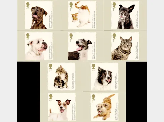 Battersea Dogs & Cats Home