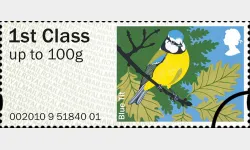 Birds of Britain (1): 1st