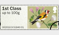 Birds of Britain (1): 1st