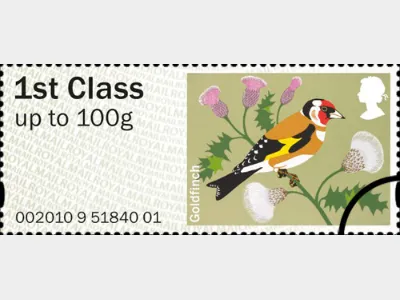 Birds of Britain (1): 1st