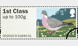 Birds of Britain (1): 1st