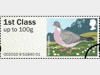 Birds of Britain (1): 1st