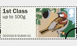 Birds of Britain (1): 1st