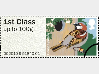 Birds of Britain (1): 1st