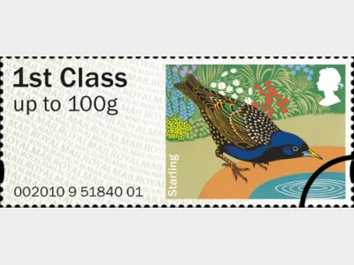 Birds of Britain (1): 1st